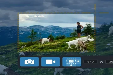 what is a screenshot