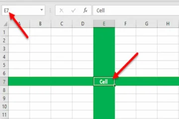 what is a spreadsheet