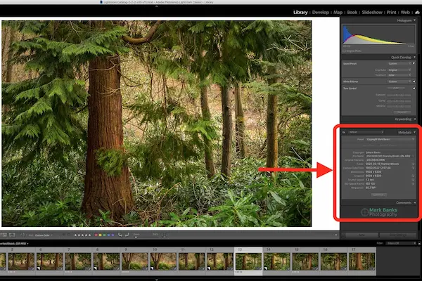 what is metadata in photos
